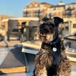 Edward_Mendelson - @london_bargee - Instagram