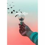 Edward Mendes - @edw_mendes - Instagram