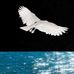 Edward Meinke - Facebook