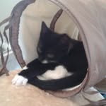 Edward Milner - @edwardm174 - Instagram