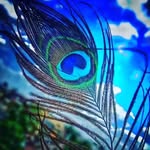 Edward Mishra - @edwardmishra - Instagram