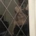 Edward Mitton - Facebook