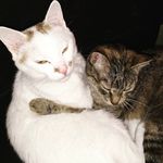 Edward&Molly - @edward_and_molly - Instagram
