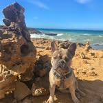 Edward Montaño - @edward.montano.77 - Instagram