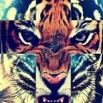edward - @edward_morita - Instagram