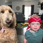 Chris Edward Morley Gammon - @kaleidoscopeman9333 - Instagram