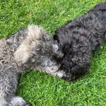 Edward Morley - @morley6460 - Instagram