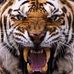 Edward Nam - Facebook