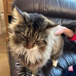Edward - @edward_naylor_king - Instagram