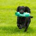 Edward Naylor - Facebook