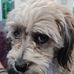 Edward Neil - Facebook