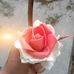 Edward Nell - Facebook