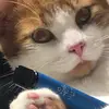 Edward Nemirovskiy - @consulprime - TikTok