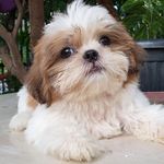 Edward Cassie Neri - @edward.neri.7121 - Instagram