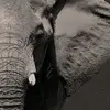 Edward Neri - @edward.neri - TikTok