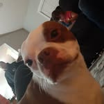 @edward_nessy - Instagram