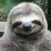 edwardnewhouse388 - @edwardnewhouse388 - TikTok