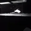 Edward Ngo - @2150007243 - TikTok