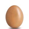 Edward Ngo - @scrambled____egg - TikTok