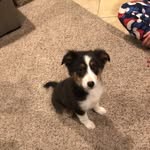 Edward noll - @ball1stic122 - Instagram