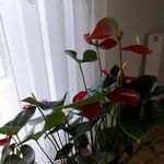 Edward Nowak - @edwardnowak29 - Instagram