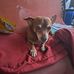 Odell Edwards - Facebook