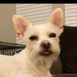 Winston Edward O’Dell - @go_winston_go - Instagram