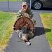 Ed Odum - Facebook