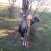Ed Ogden - Facebook
