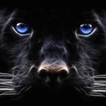 Edward Oliveira Oliveira - @edwardoliveiraoliveira - Instagram