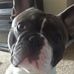Edward Olszewski - Facebook