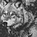 Edward Olszewski - Facebook