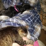 Edward Oneil - @ed.85z - Instagram