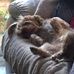 Edward Ott - Facebook