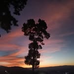 Edward Pakma Edd - @edwardpakma - Instagram