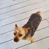 Edward Parris272 - @edwardparris272 - TikTok