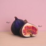 Edward Passmore - @onlypansdotcom - Instagram
