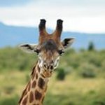 Edward Passmore - @edwardpassmore - Instagram