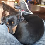Edward Paulson - Facebook
