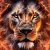 Edwar de paz 🦁 - @edwardepaz - TikTok
