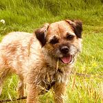 Edward Pearson - @ed.pearson_ - Instagram