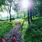 Edward Pearson - @remarc_ - Instagram