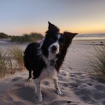 Edward Pickett - @caderyder1 - Instagram