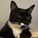 Edward Pickles - @siredwardpickles - Instagram
