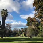 Edward Hsiao-ping - @edwardhsiaoping - Instagram