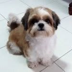 @edwardping - Instagram
