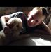 Edward Pippin - Facebook