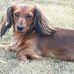 Edward Pippin - Facebook