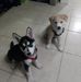 Edward Pitre - Facebook