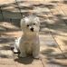Edward Podany - Facebook